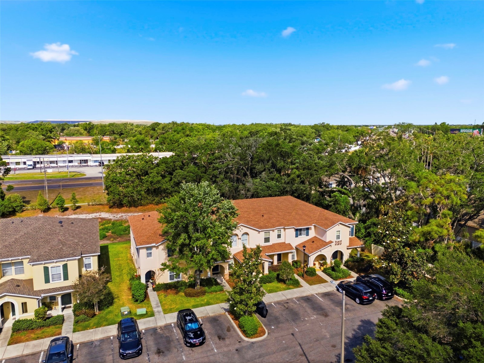 6811 Dartmouth Hill Street Riverview FL 33578 TB8500019 image46