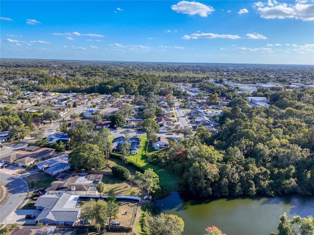 6811 Kingstree Court Port Richey FL 34668 TB8441245 image27