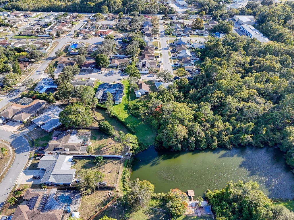 6811 Kingstree Court Port Richey FL 34668 TB8441245 image29