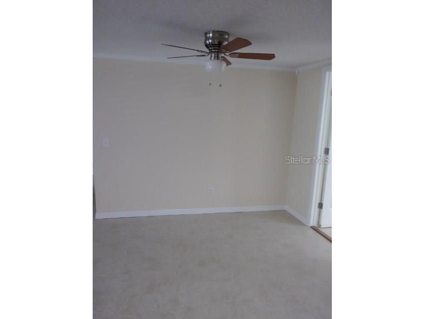 6812 Roosevelt Drive Port Richey FL 34668 W7880733 image5