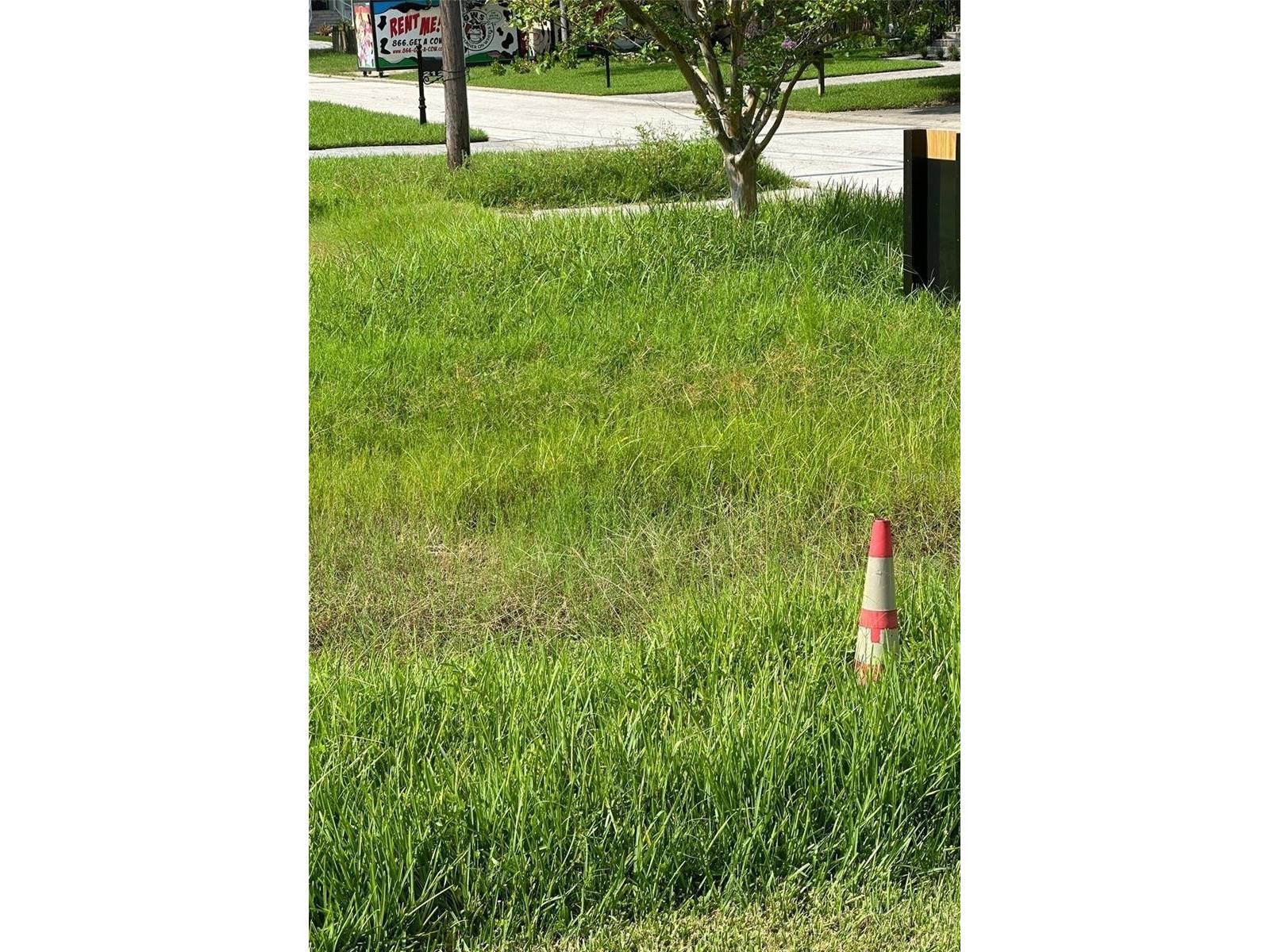 6813 Lyman Avenue Tampa FL 33610 TB8482855 image1