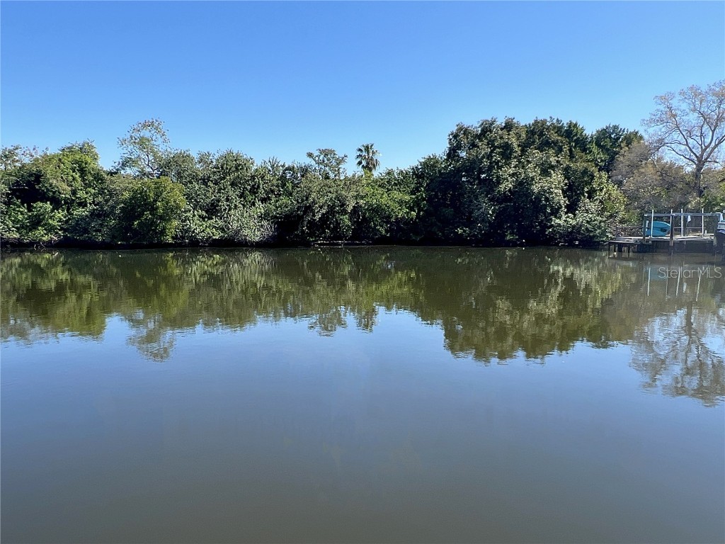 6813 Mount Orange Drive NE #386 Saint Petersburg FL 33702 U8232437 image1