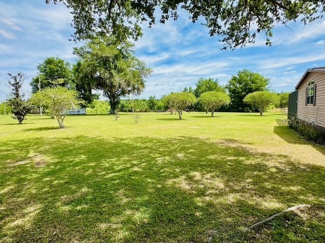 6814 Redwing Road Groveland FL 34736 O6400722 image4