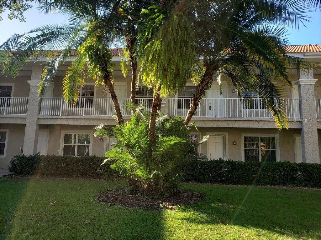6815 Dali Avenue #203 Land O Lakes FL 34637 T3415984 image1