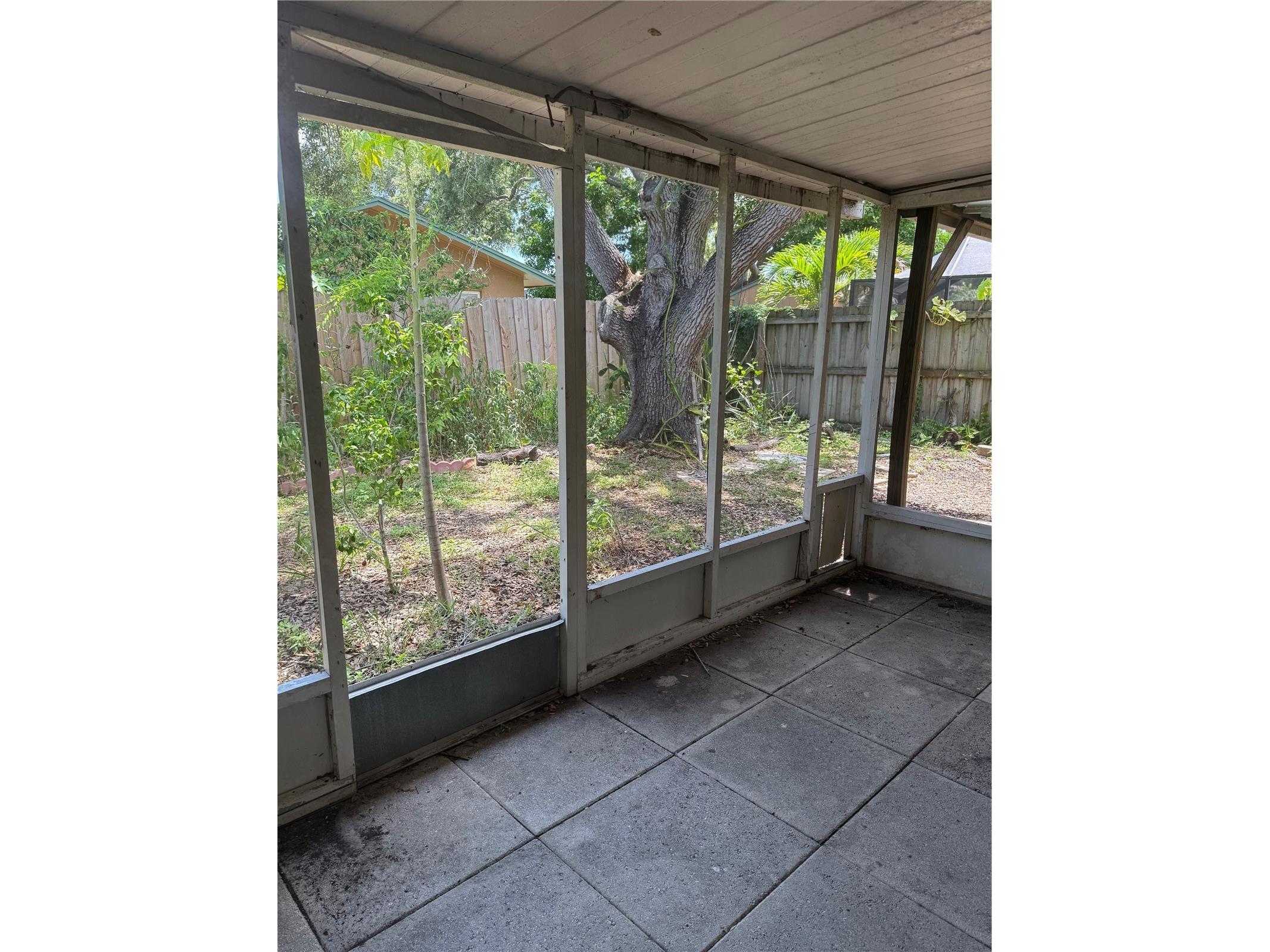 6816 Circlecreek Drive Pinellas Park FL 33781 A4699549 image11