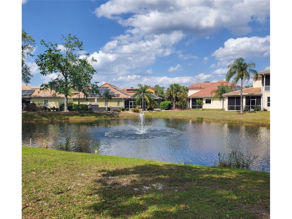 6816 Dali Avenue #101 Land O Lakes FL 34637 - LAGUNA DE PAZ U8254289 image1