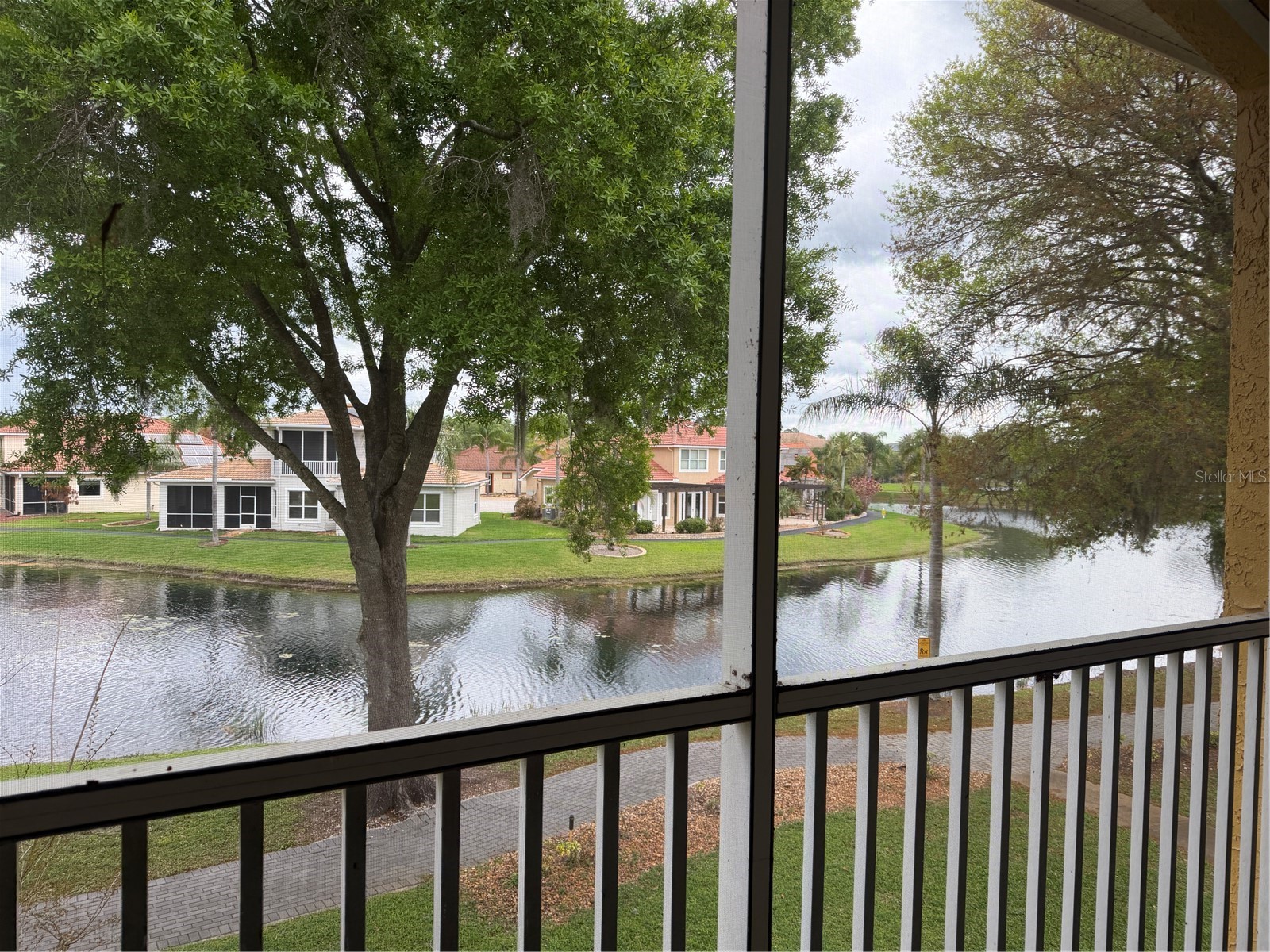 6816 Dali Avenue #201 Land O Lakes FL 34637 W7883951 image22
