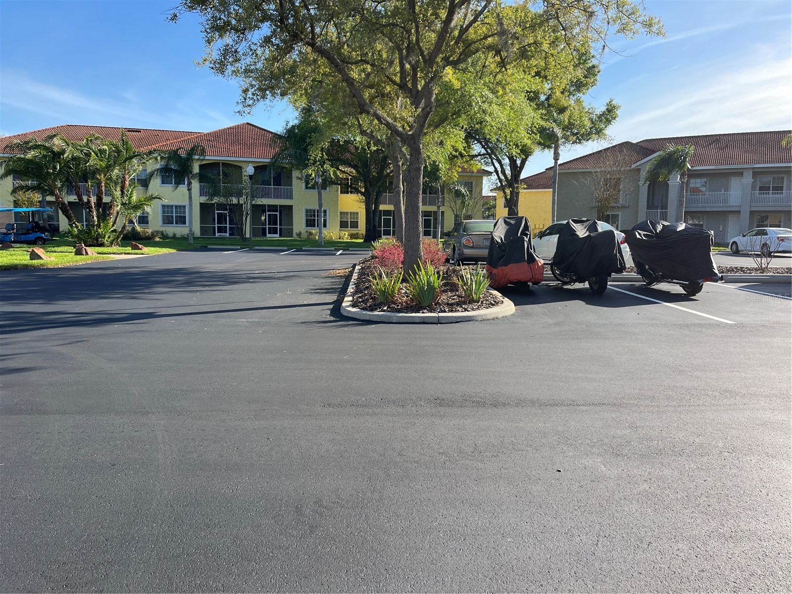 6816 Dali Avenue #201 Land O Lakes FL 34637 W7883951 image3