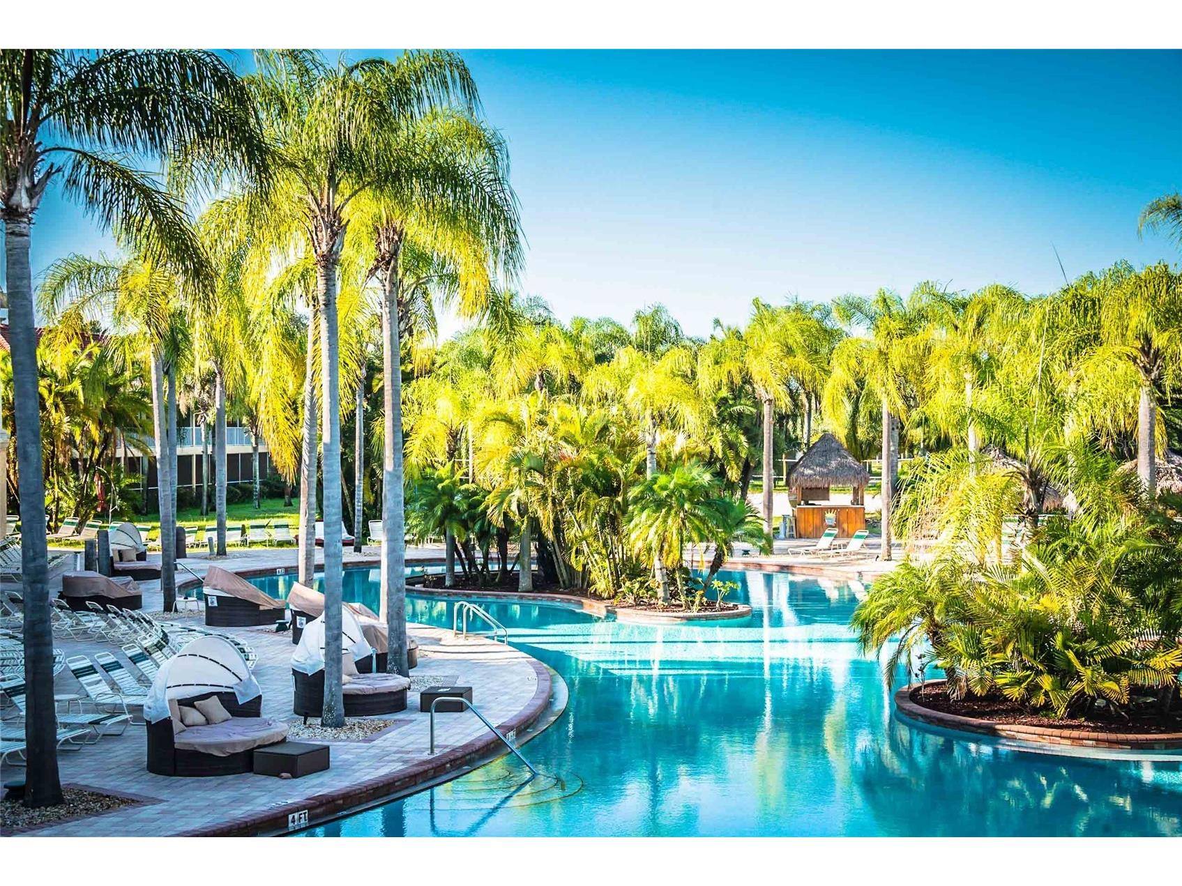 6816 Dali Avenue #201 Land O Lakes FL 34637 W7883951 image4
