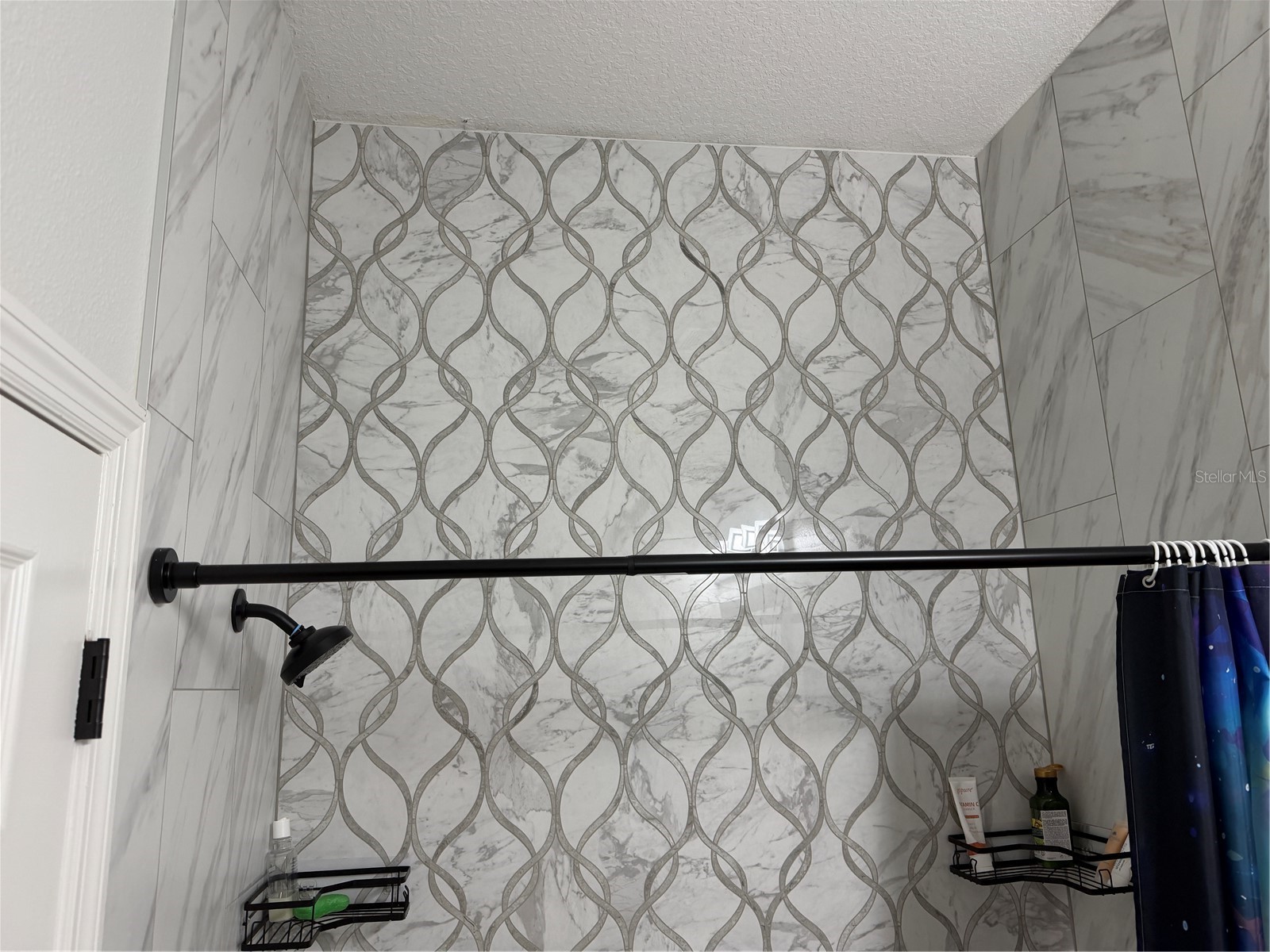 6816 Dali Avenue #201 Land O Lakes FL 34637 W7883951 image44