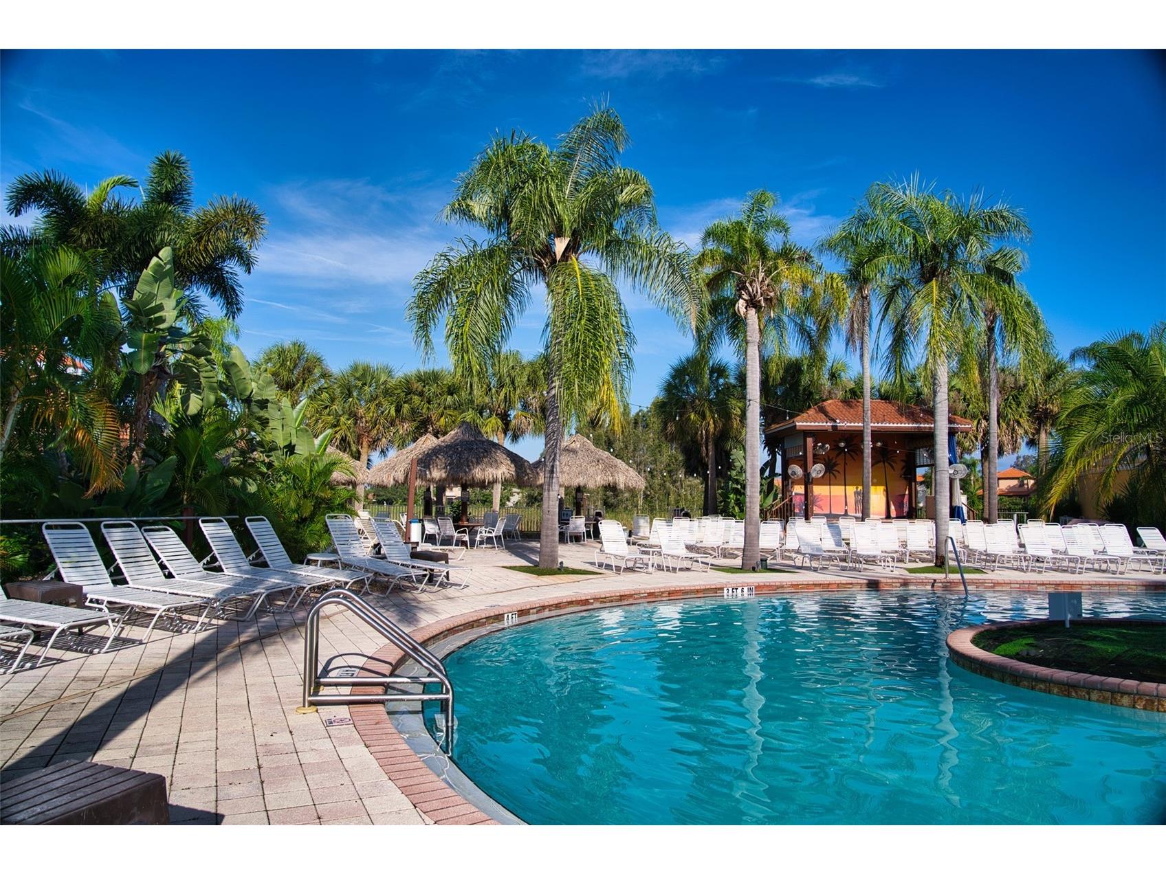 6816 Dali Avenue #201 Land O Lakes FL 34637 W7883951 image5