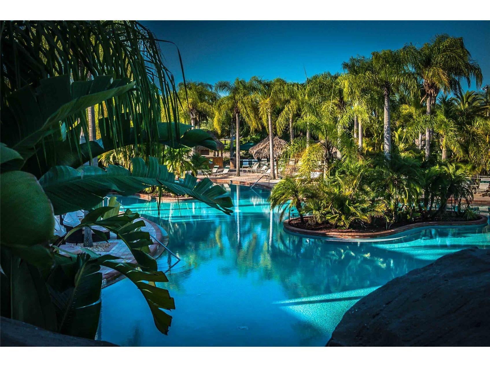 6816 Dali Avenue #201 Land O Lakes FL 34637 W7883951 image57