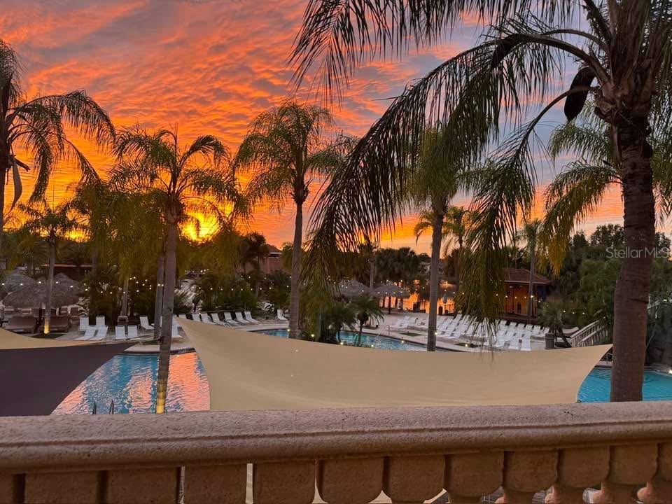 6816 Dali Avenue #201 Land O Lakes FL 34637 W7883951 image58