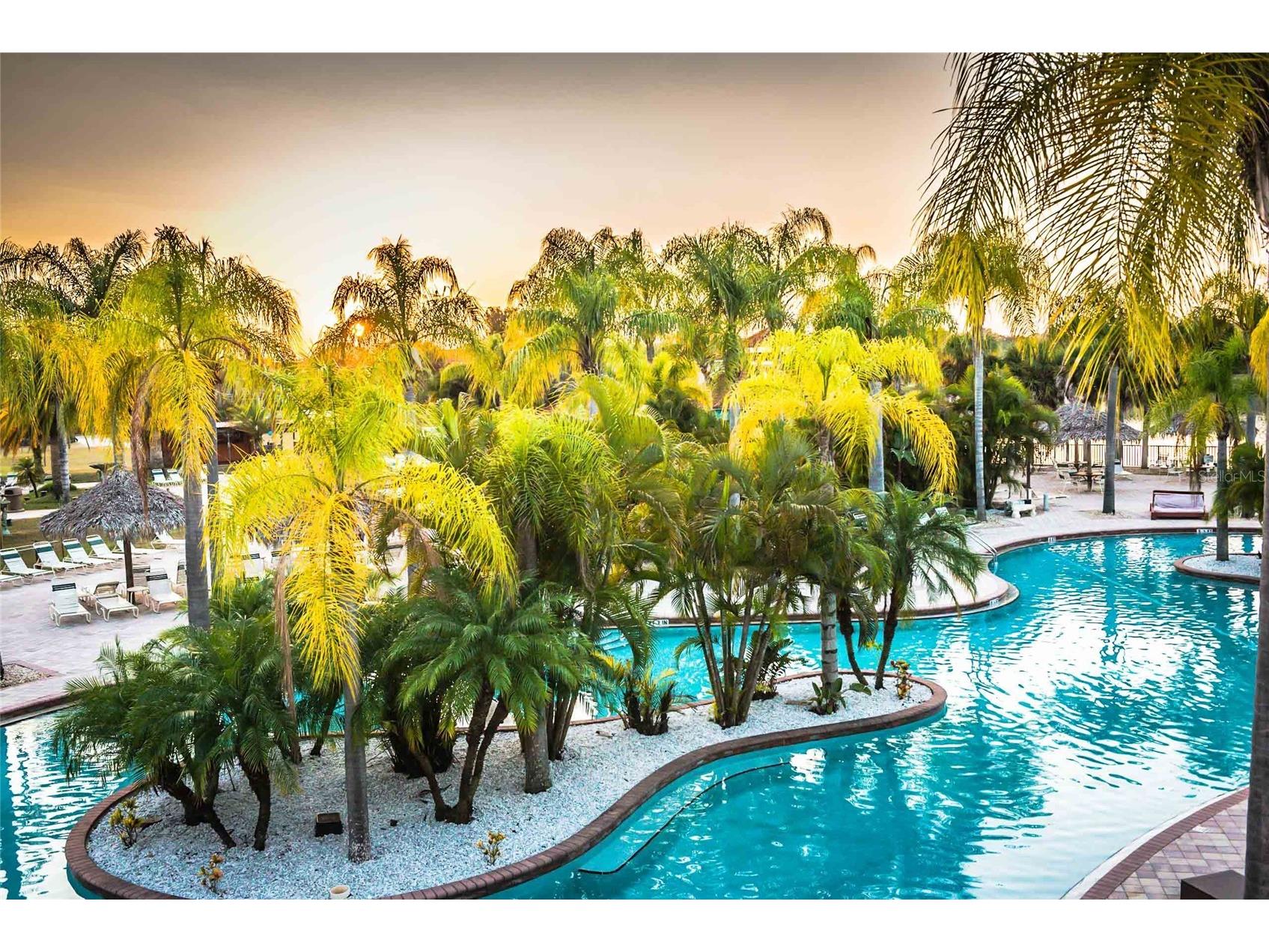 6816 Dali Avenue #201 Land O Lakes FL 34637 W7883951 image61