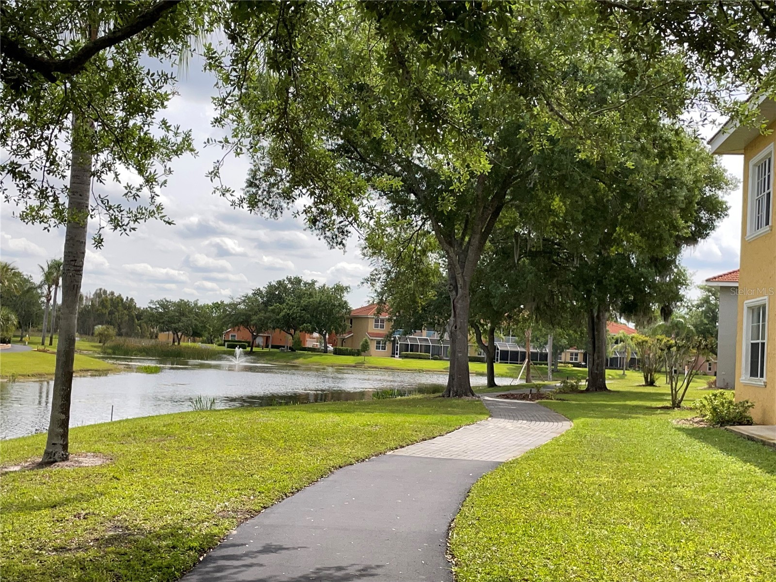 6816 Dali Avenue #205 Land O Lakes FL 34637 TB8499544 image1