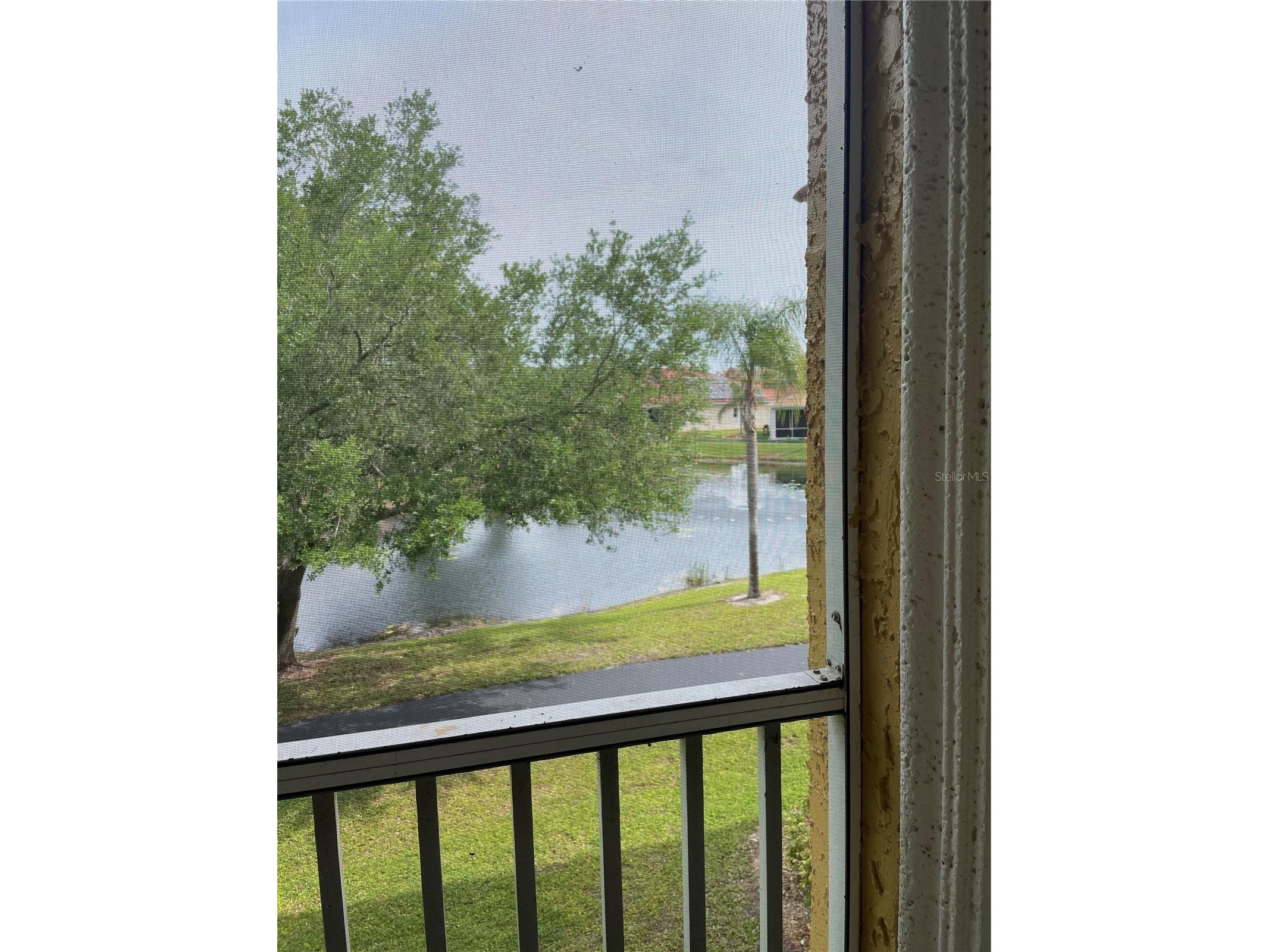 6816 Dali Avenue #205 Land O Lakes FL 34637 TB8499544 image11