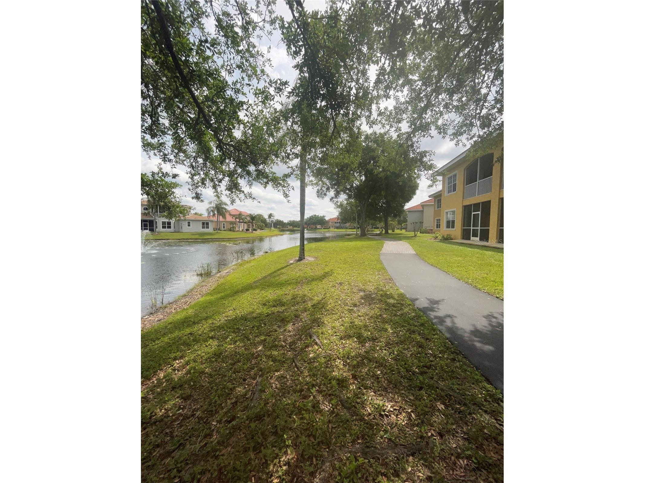 6816 Dali Avenue #205 Land O Lakes FL 34637 TB8499544 image13