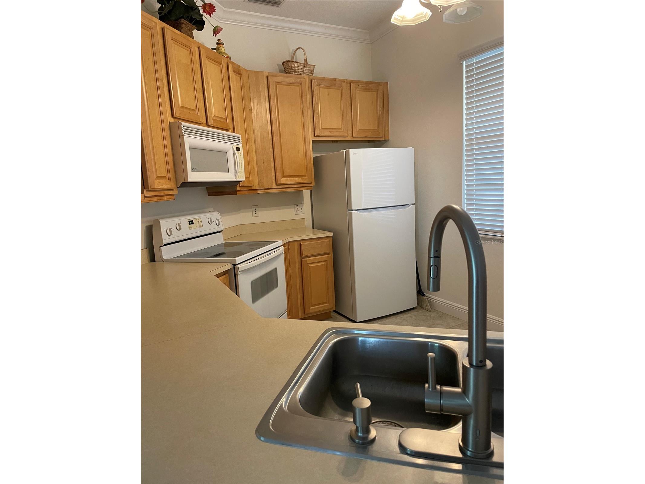 6816 Dali Avenue #205 Land O Lakes FL 34637 TB8499544 image15