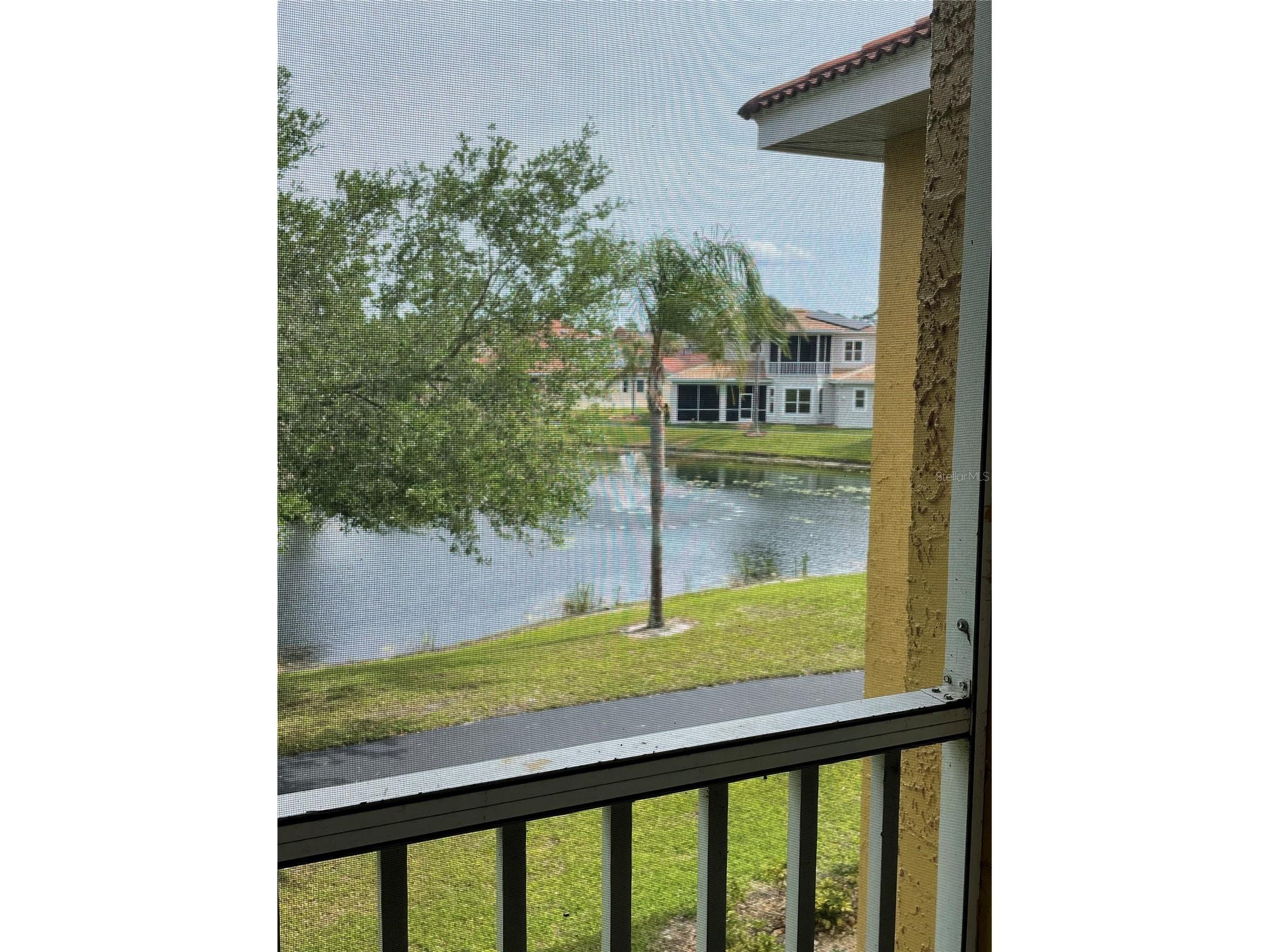 6816 Dali Avenue #205 Land O Lakes FL 34637 TB8499544 image16