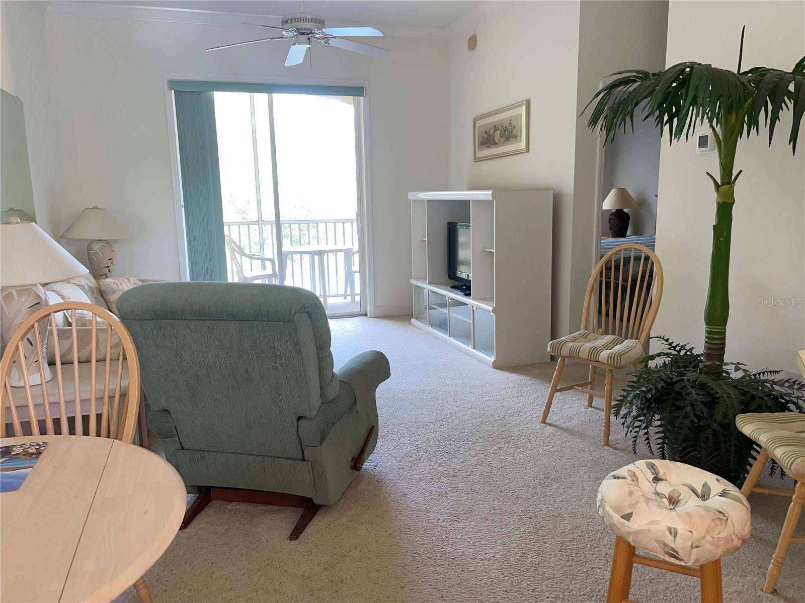 6816 Dali Avenue #205 Land O Lakes FL 34637 TB8499544 image2