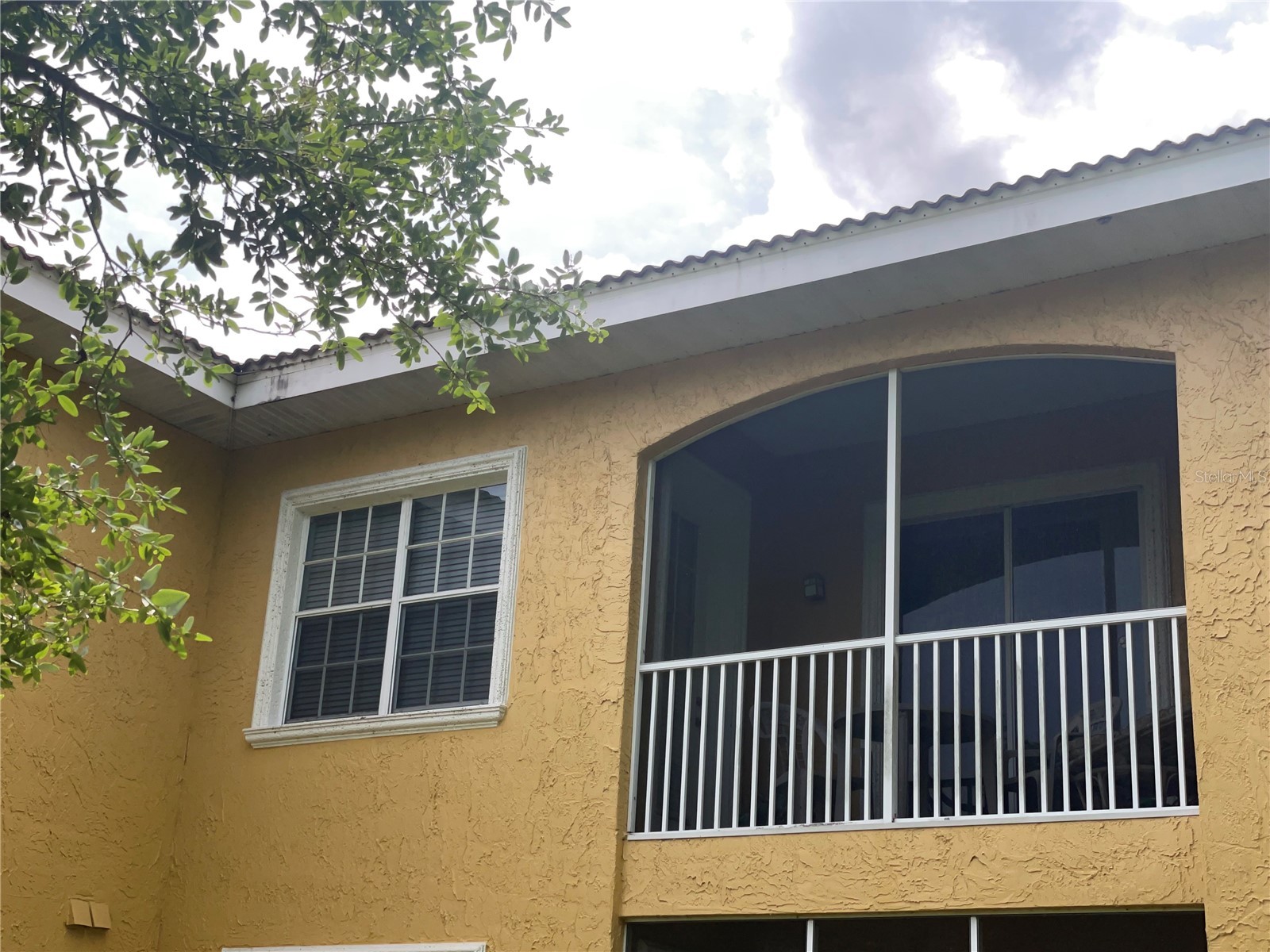 6816 Dali Avenue #205 Land O Lakes FL 34637 TB8499544 image3