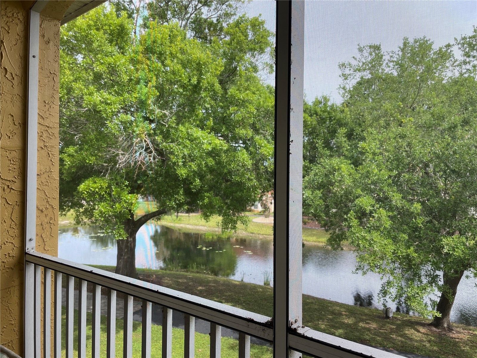 6816 Dali Avenue #205 Land O Lakes FL 34637 TB8499544 image7