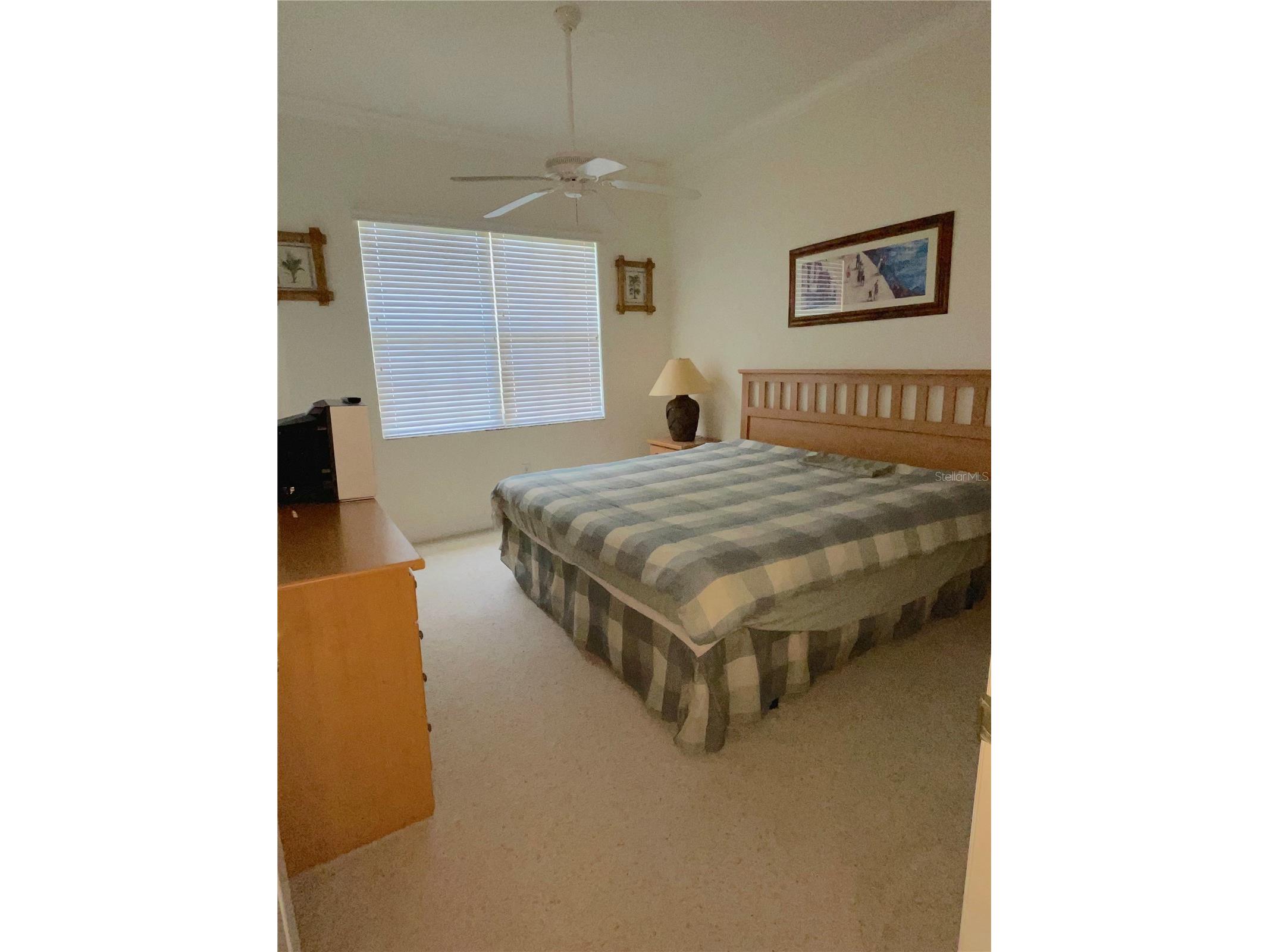 6816 Dali Avenue #205 Land O Lakes FL 34637 TB8499544 image8