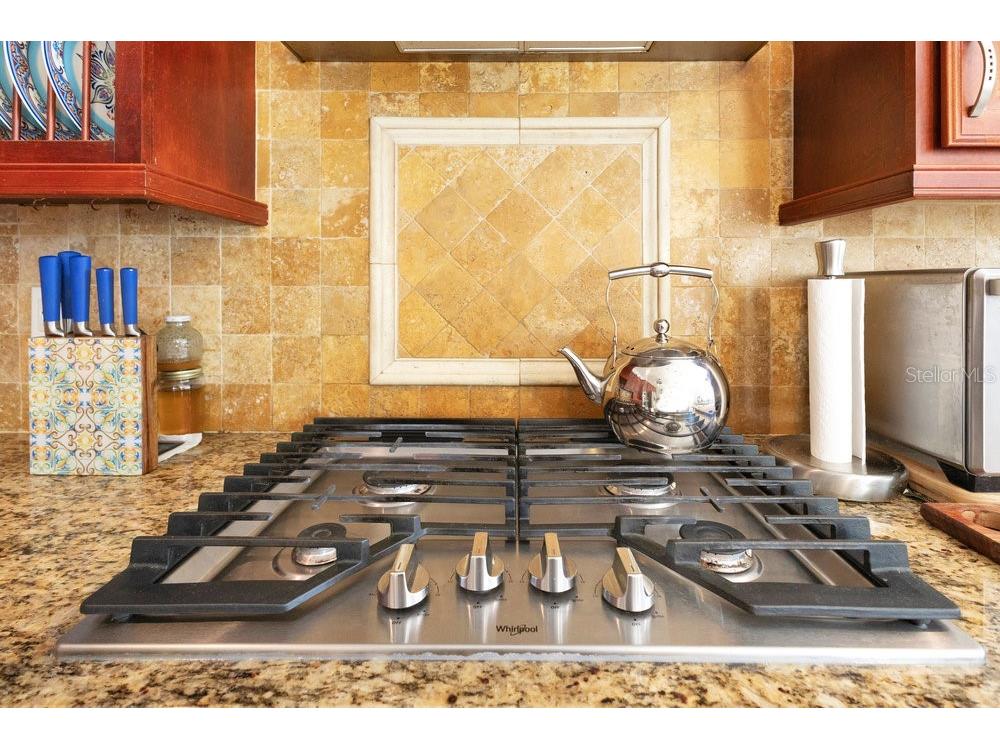 6816 Greengrove Boulevard Clermont FL 34714 O6298842 image27