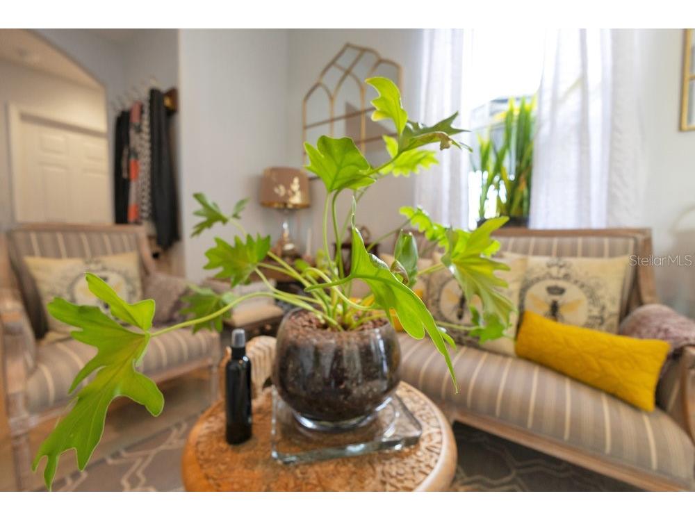 6816 Greengrove Boulevard Clermont FL 34714 O6298842 image28