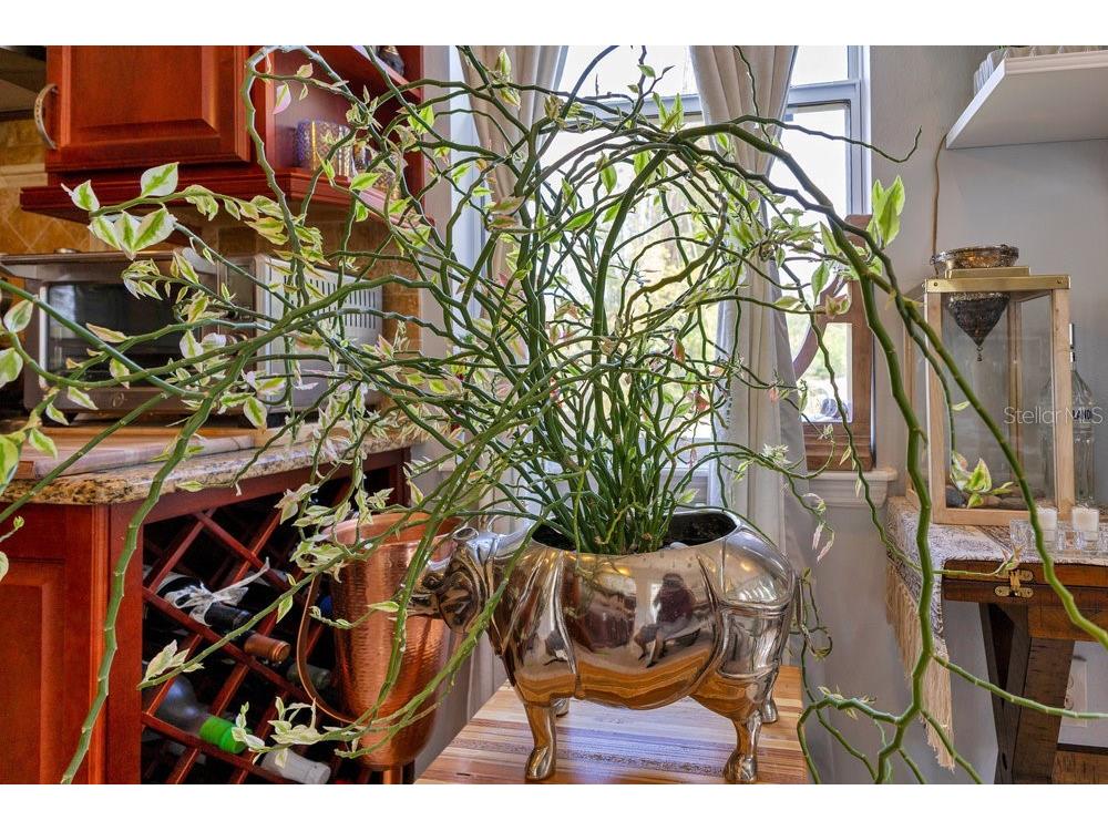 6816 Greengrove Boulevard Clermont FL 34714 O6298842 image32