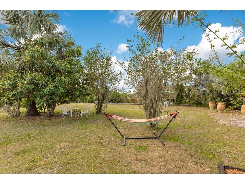 6816 Greengrove Boulevard Clermont FL 34714 O6298842 image47