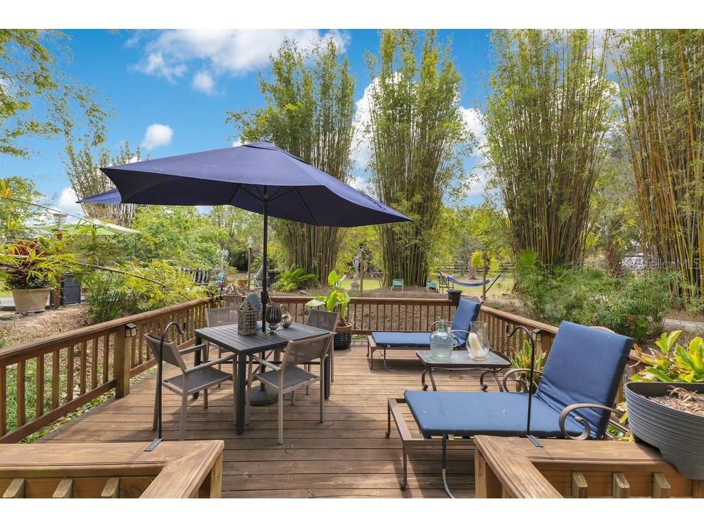 6816 Greengrove Boulevard Clermont FL 34714 O6298842 image56