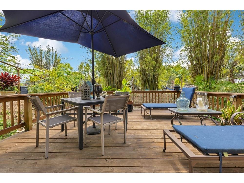 6816 Greengrove Boulevard Clermont FL 34714 O6298842 image57