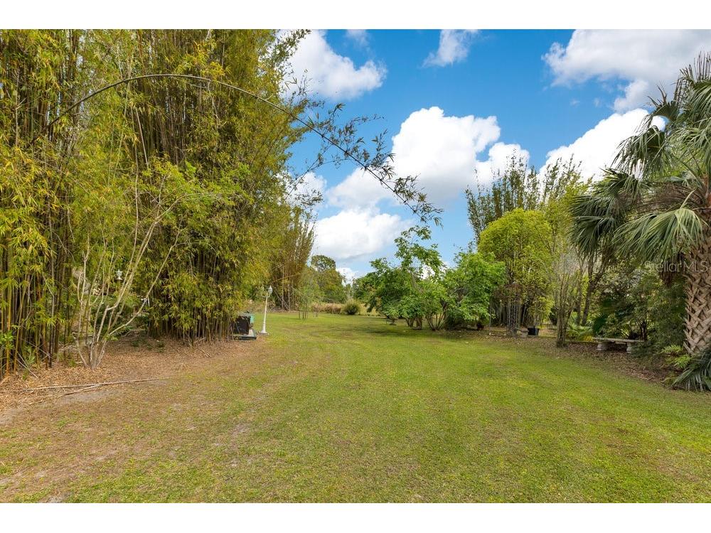 6816 Greengrove Boulevard Clermont FL 34714 O6298842 image62