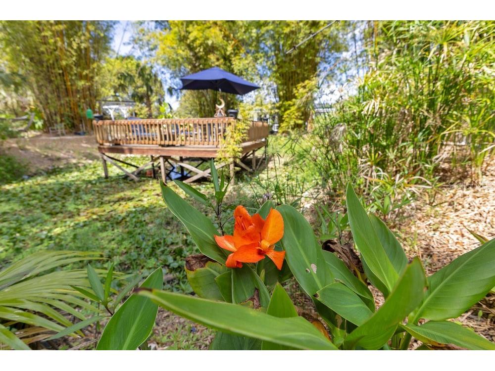 6816 Greengrove Boulevard Clermont FL 34714 O6298842 image80