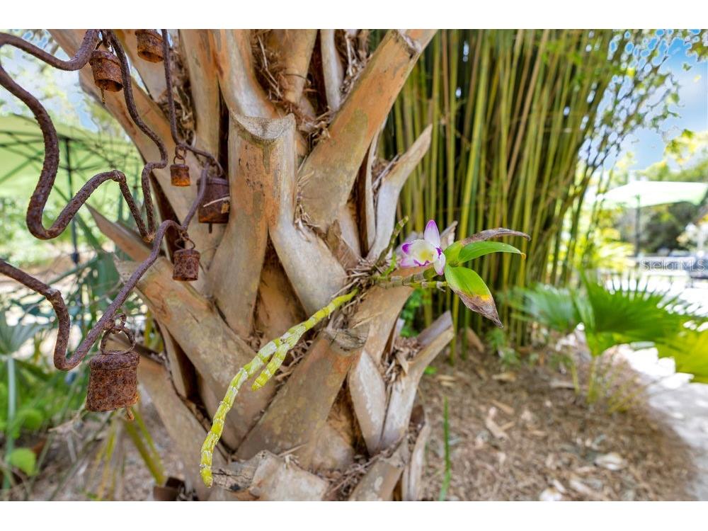 6816 Greengrove Boulevard Clermont FL 34714 O6298842 image81