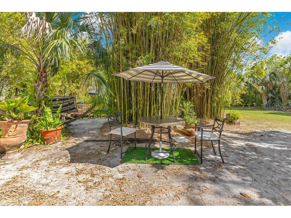 6816 Greengrove Boulevard Clermont FL 34714 O6298842 image82