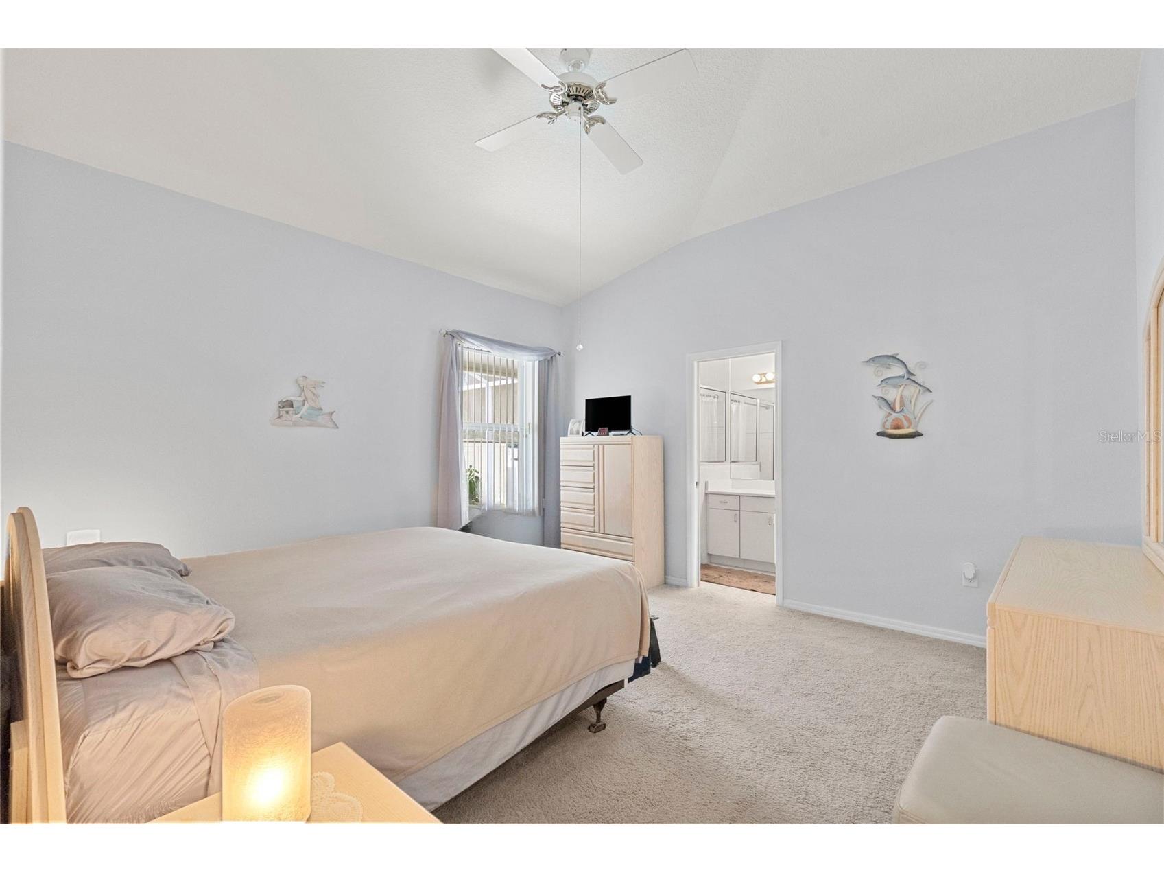 6816 S Court Drive Tampa FL 33611 TB8515246 image27