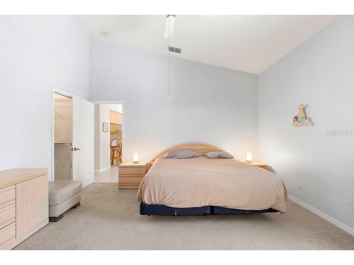 6816 S Court Drive Tampa FL 33611 TB8515246 image29