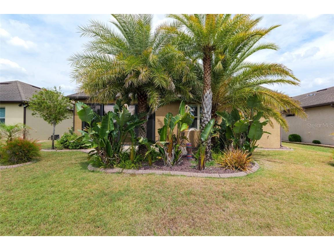 6816 SW 95th Circle Ocala FL 34481 OM700050 image70