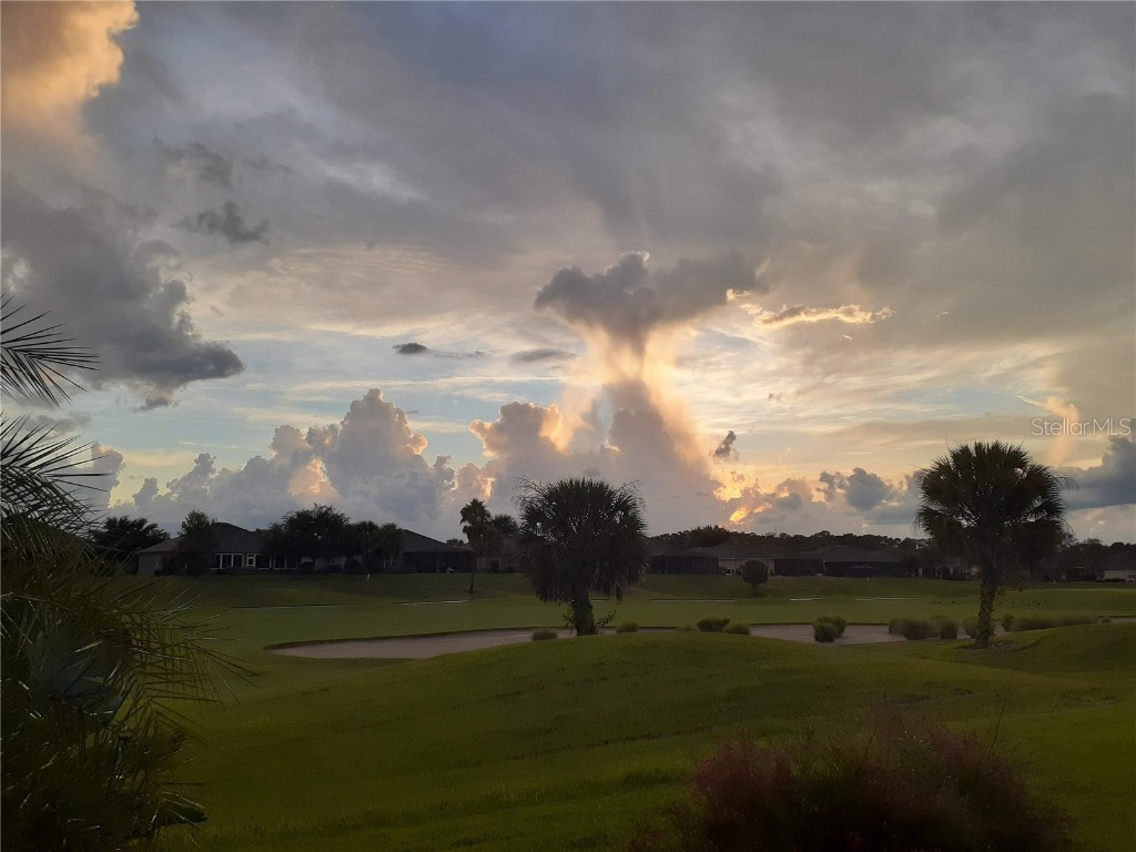 6816 SW 95th Circle Ocala FL 34481 OM700050 image95