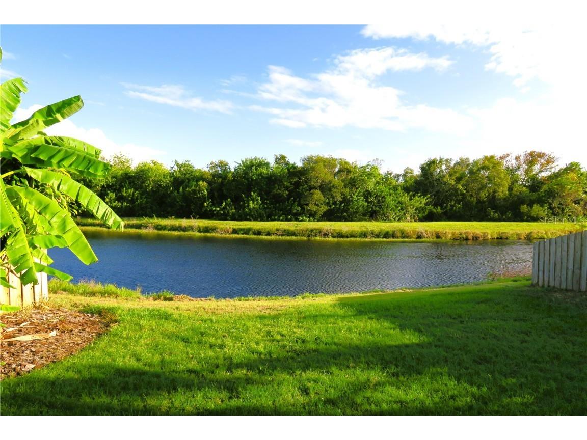 6817 Cromwell Garden Drive Apollo Beach FL 33572 P4926698 image1