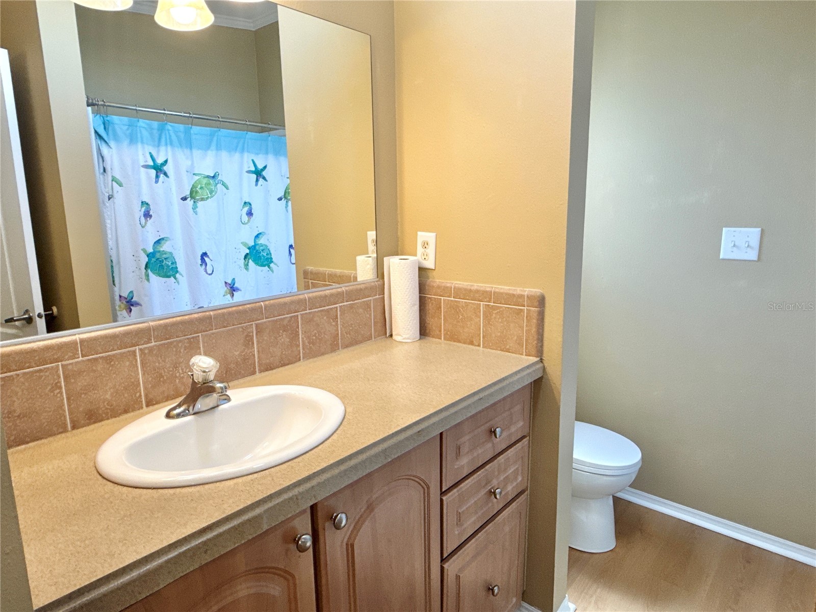 6817 Mount Pleasant Road NE #49 Saint Petersburg FL 33702 TB8490522 image20