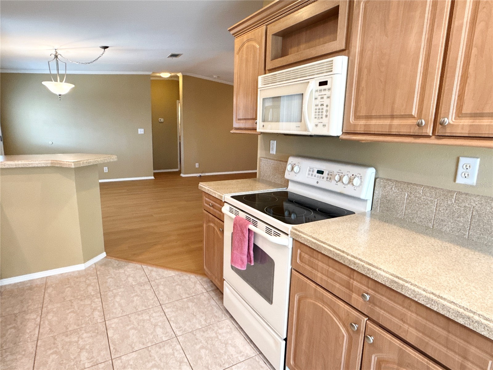 6817 Mount Pleasant Road NE #49 Saint Petersburg FL 33702 TB8490522 image9