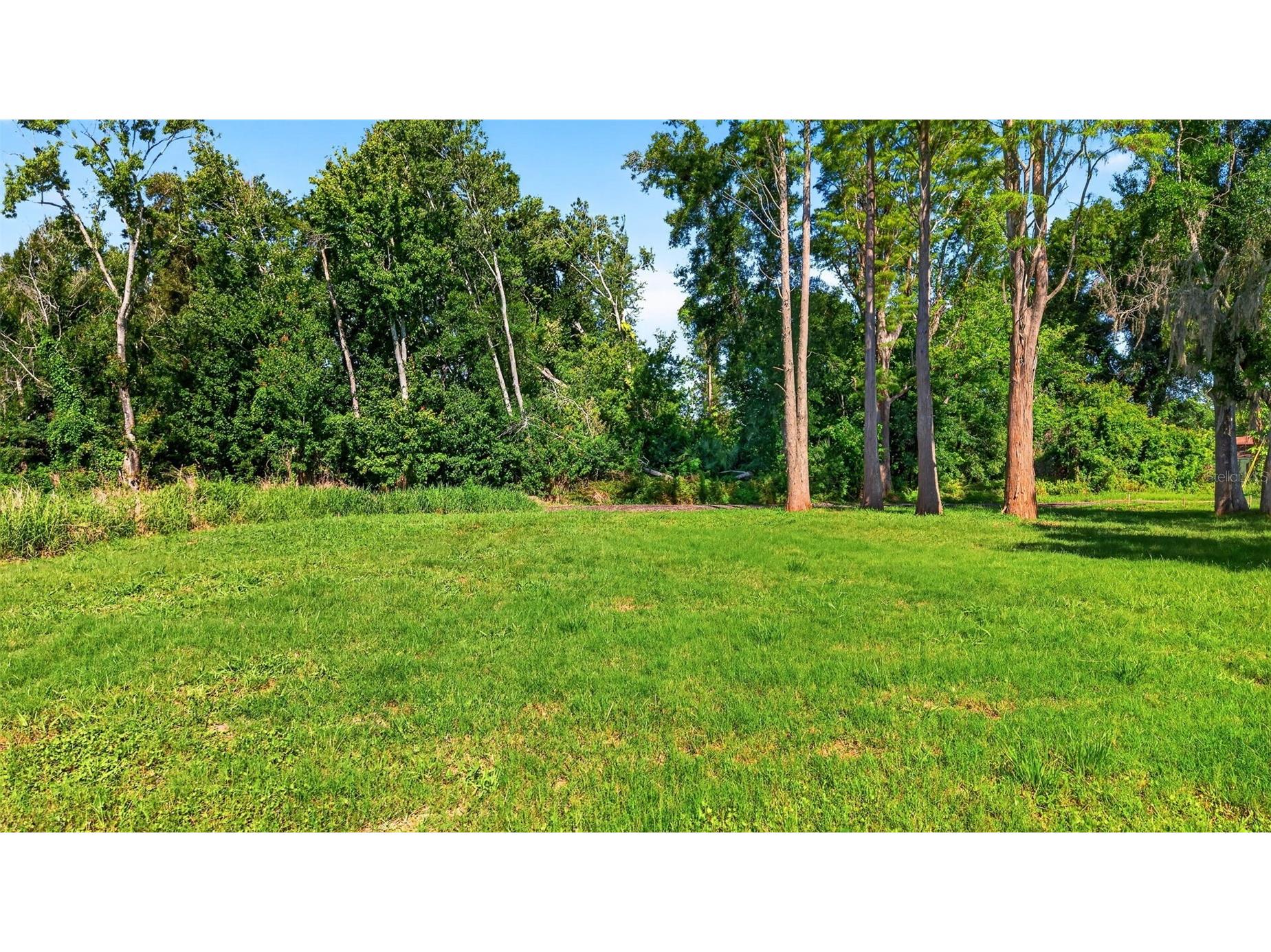 6817 N Blossom Avenue Tampa FL 33614 TB8518539 image10
