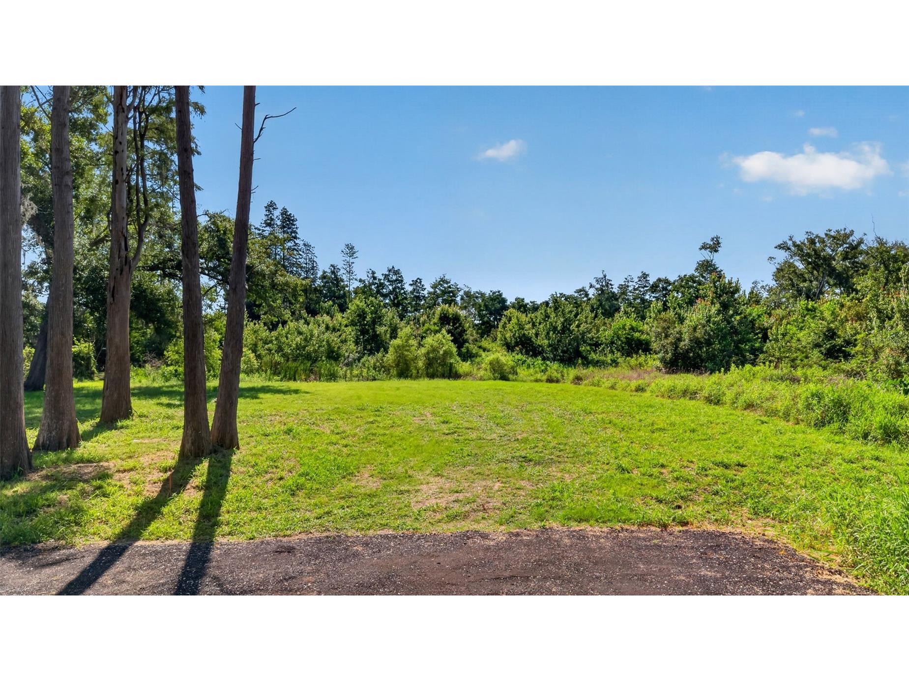 6817 N Blossom Avenue Tampa FL 33614 TB8518539 image9