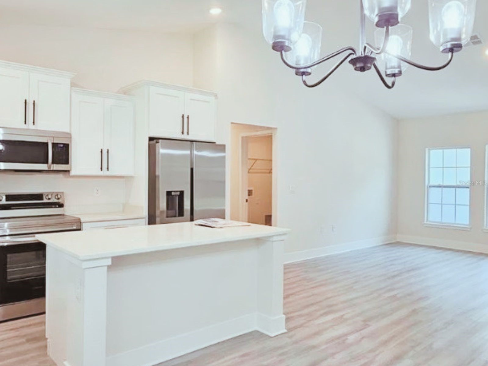 6817 SW 131st Place Ocala FL 34473 S5152902 image3