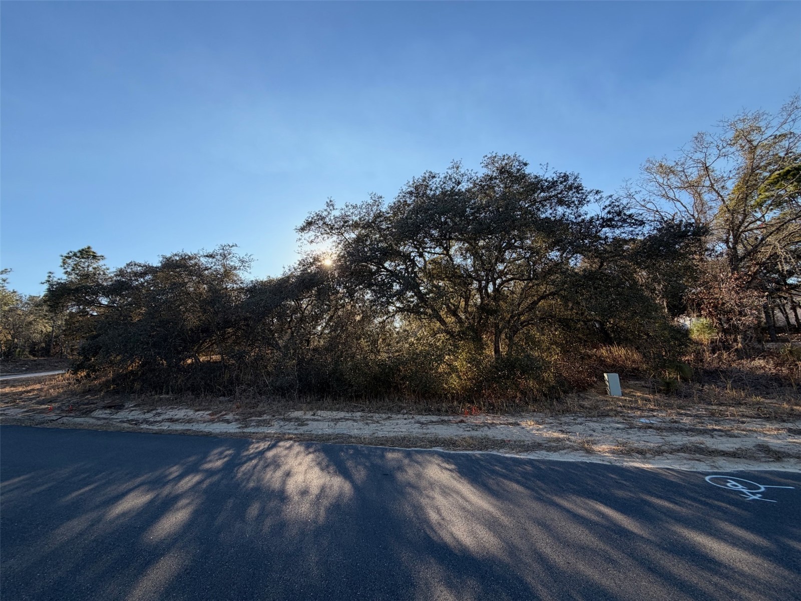 6818 N Waycross Way Citrus Springs FL 34433 V4947228 image1
