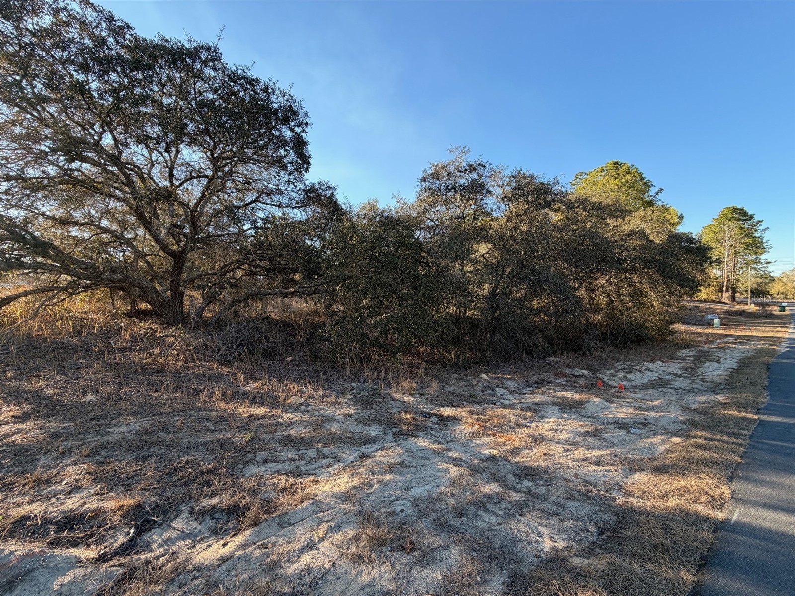 6818 N Waycross Way Citrus Springs FL 34433 V4947228 image2