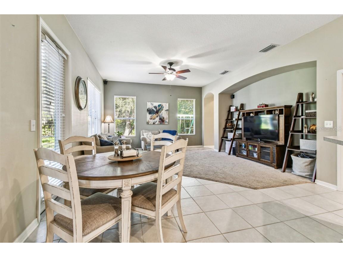 6818 Pine Springs Drive Wesley Chapel FL 33545 TB8438233 image26